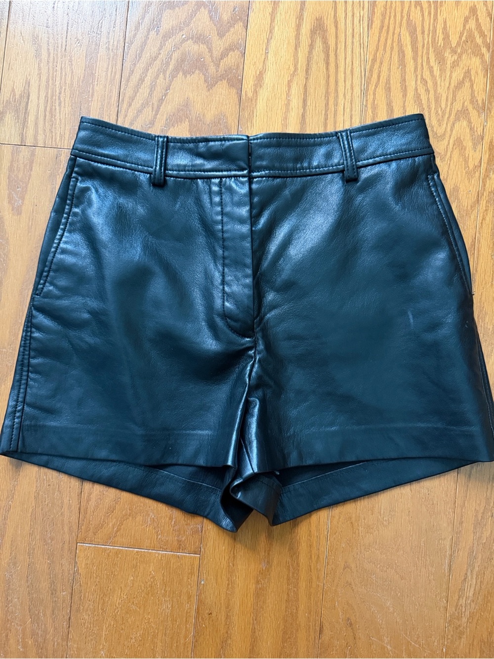 Aritzia Babaton Leather Shorts